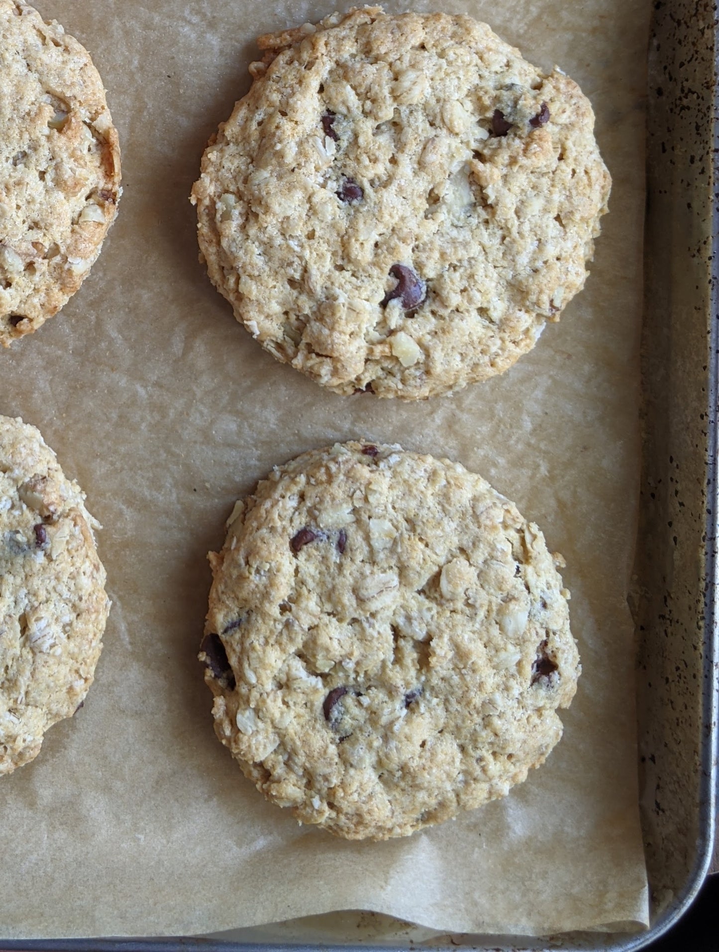 Oat Scones